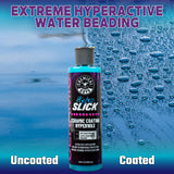 Chemical Guys HydroSlick Ceramic Coating Kit